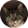 inhumane-society-of-the-dunes.pages.dev favicon