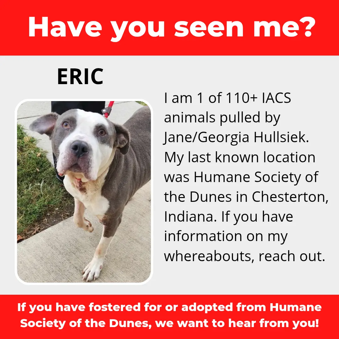 Eric - a dog that was 'rescued' by the Northwest Indiana (NWI) Humane Society of the Dunes (founded by Jane Hullsiek) in Chesterton.