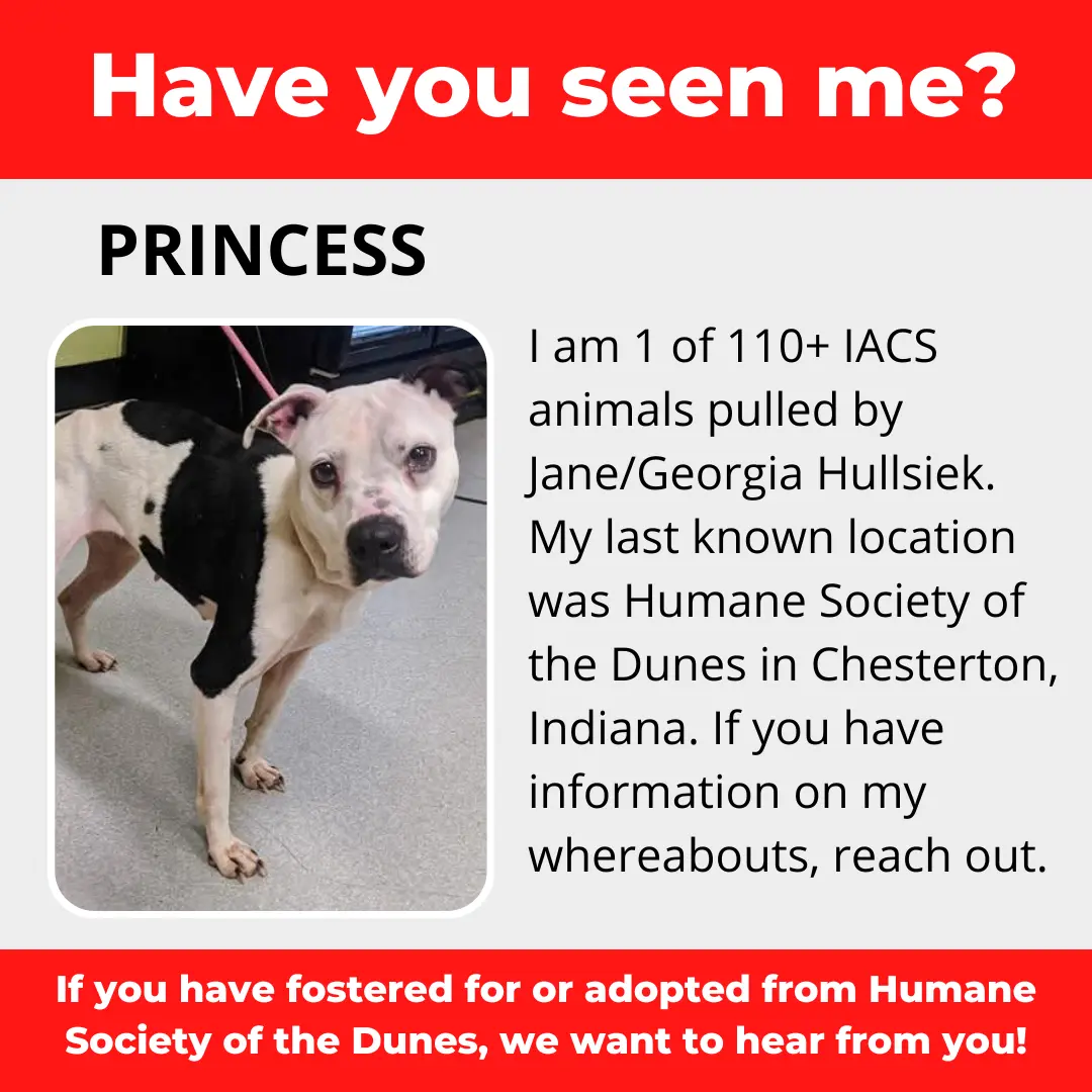 Princess - a dog that was 'rescued' by the Northwest Indiana (NWI) Humane Society of the Dunes (founded by Jane Hullsiek) in Chesterton.